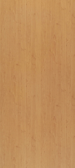 Wood Texture