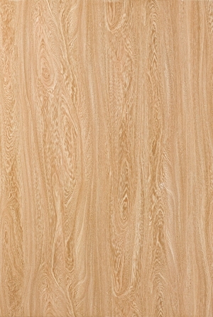 Wood Texture