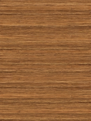 Wood Texture