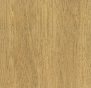 Wood Texture