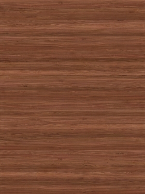 Wood Texture