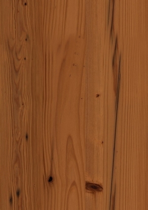 Wood Texture