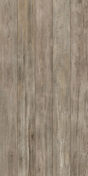 Wood Texture