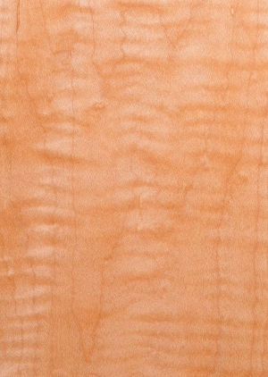 Wood Texture