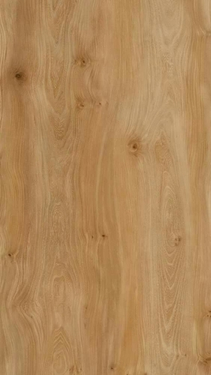 Wood Texture