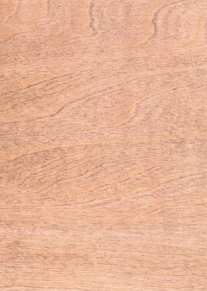 Wood Texture