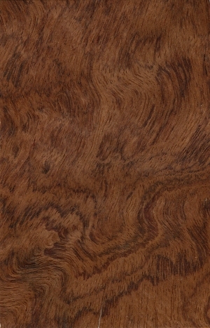 Wood Texture