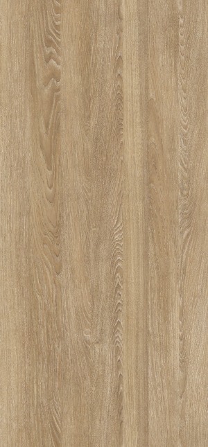 Wood Texture