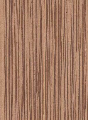 Wood Texture