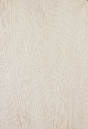 Wood Texture