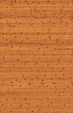 Wood Texture