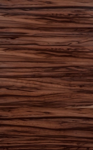 Wood Texture