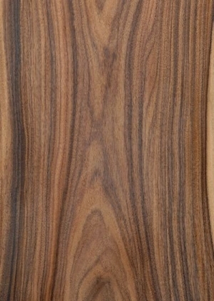 Wood Texture