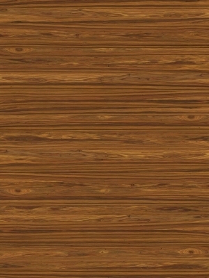 Wood Texture