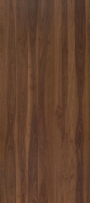 Wood Texture