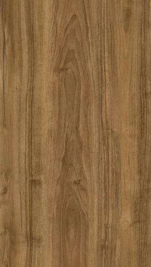 Wood Texture