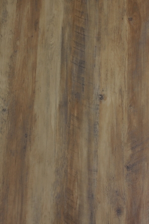 Wood Texture