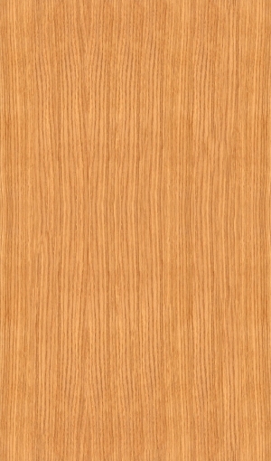 Wood Texture