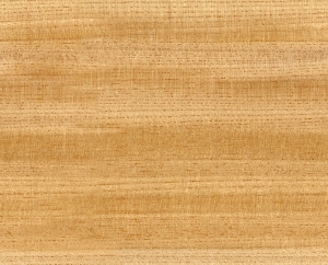 Wood Texture