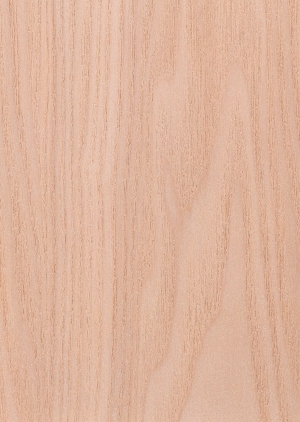 Wood Texture