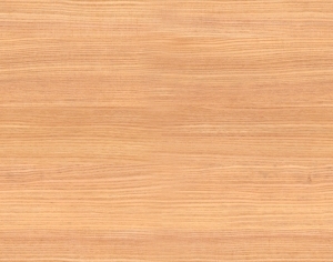 Wood Texture