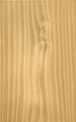 Wood Texture