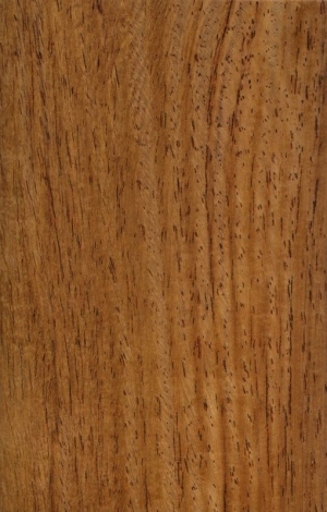 Wood Texture