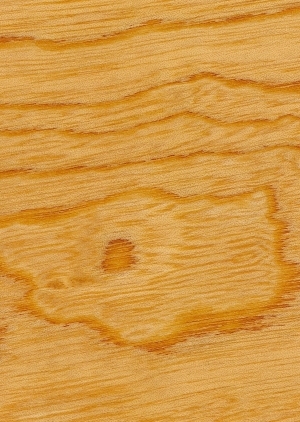 Wood Texture