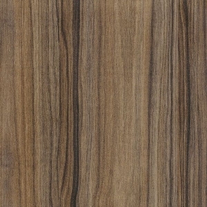 Wood Texture