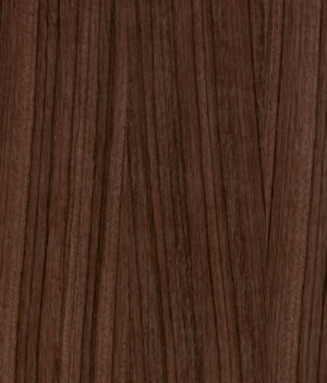 Wood Texture