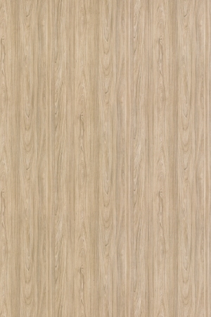 Wood Texture