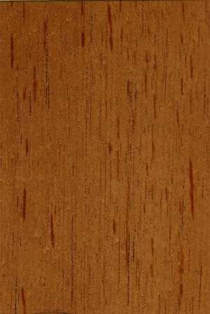 Wood Texture