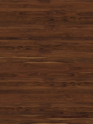 Wood Texture