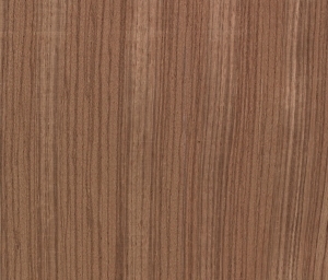 Wood Texture