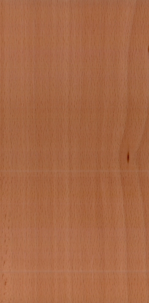 Wood Texture