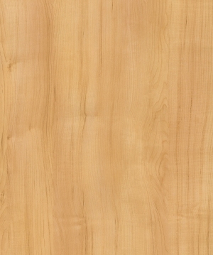 Wood Texture