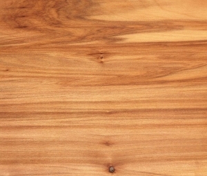 Wood Texture