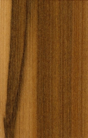 Wood Texture