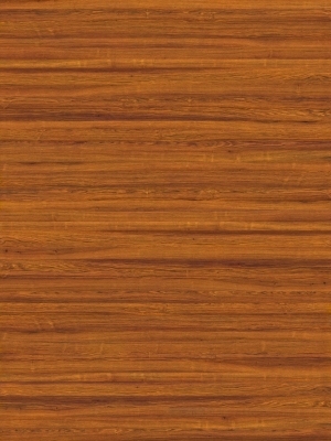 Wood Texture