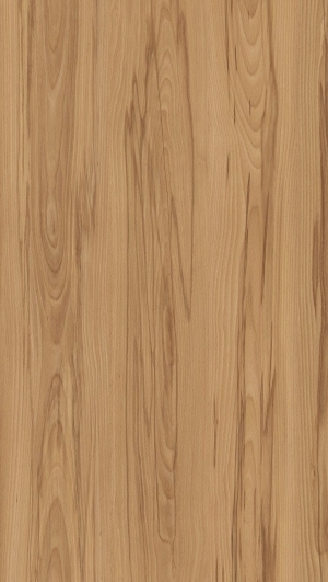 Wood Texture