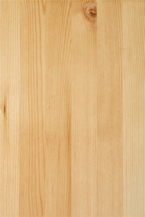 Wood Texture