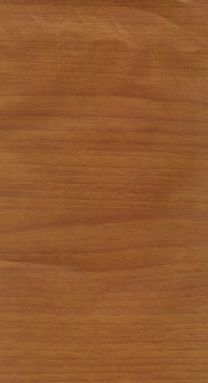 Wood Texture