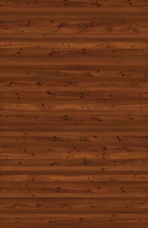 Wood Texture