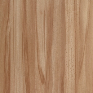 Wood Texture