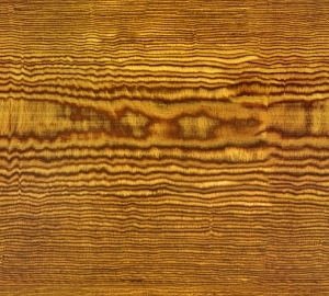 Wood Texture