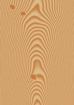 Wood Texture