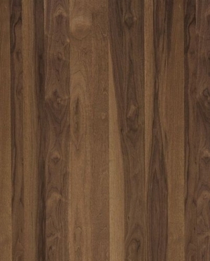 Wood Texture