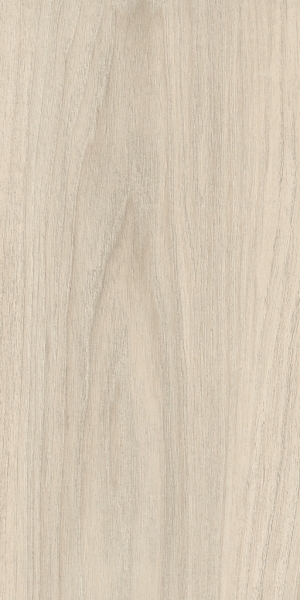 Wood Texture