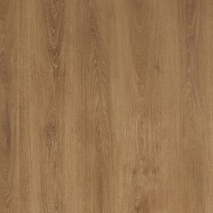 Wood Texture