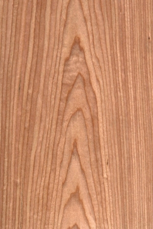 Wood Texture